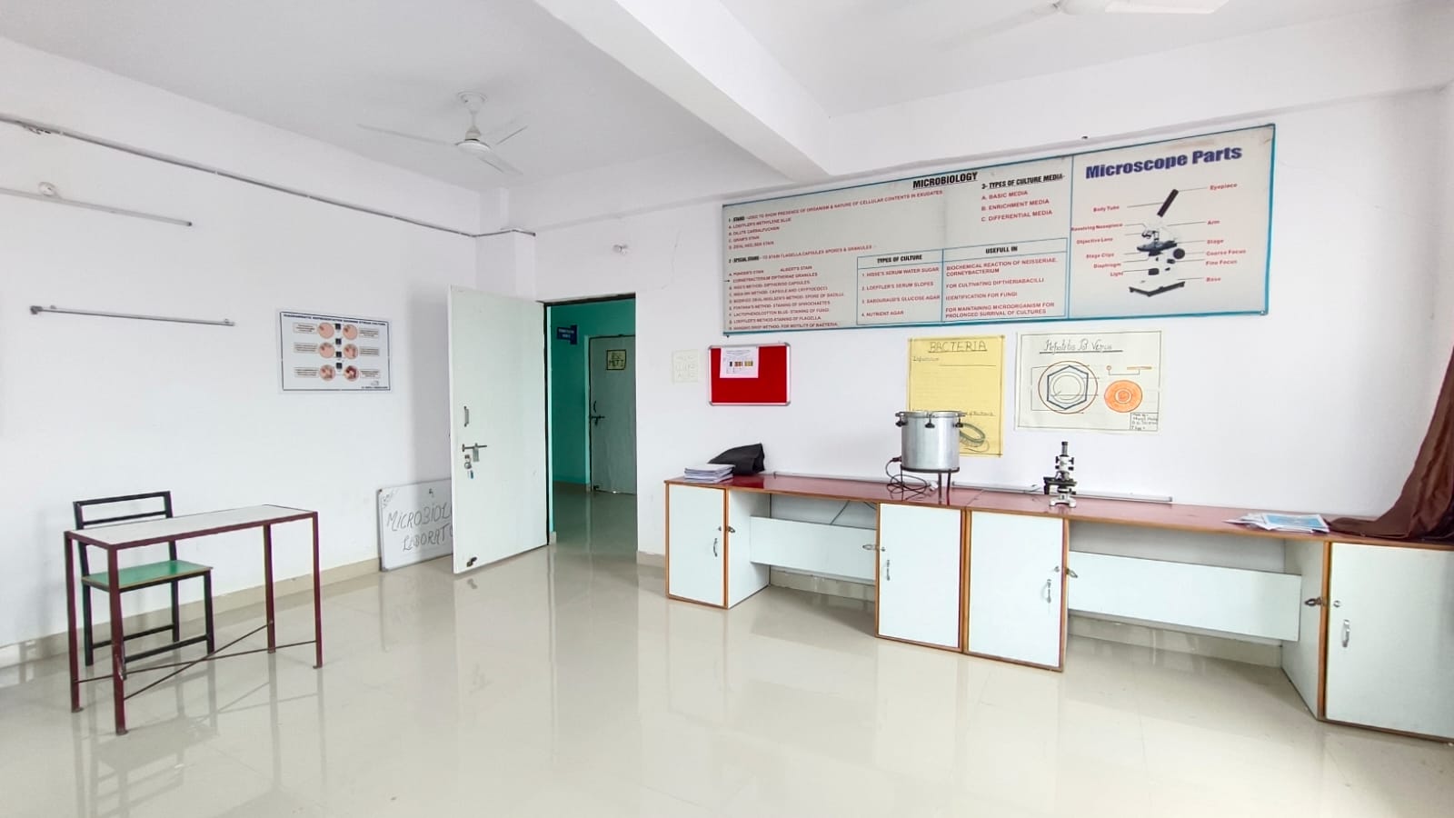 Allied Health Sciences 7